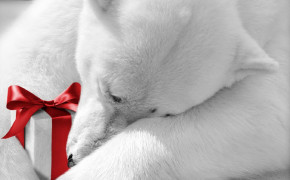 Christmas Polar Bear 07733