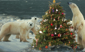 Christmas Polar Bear Wallpaper HD 07731