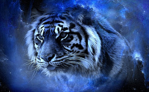 3D Tiger Desktop Wallpaper 07465