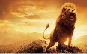 Roaring Lion Background HD Wallpapers 78546