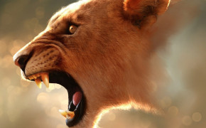 Angry Lioness Desktop Wallpaper 07533