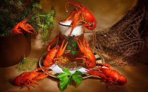 Lobster Best HD Wallpaper 74537