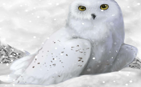 Snowy Owl Wallpaper 2000x1500 82483