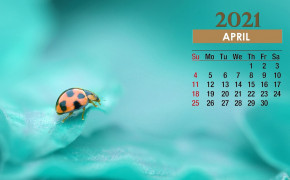 April 2021 Calendar Beetle Wallpaper 72162