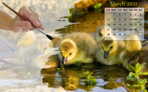 March 2021 Calendar Cute Chicks Wallpaper 72283