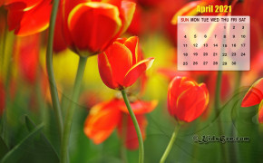 April 2021 Calendar Tulip Wallpaper 72176