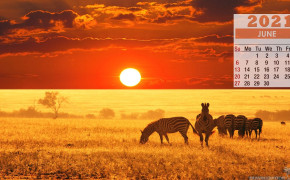 June 2021 Calendar Safari Animals Wallpaper 72273