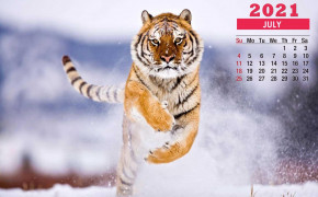 July 2021 Calendar Tiger Wallpaper 72262