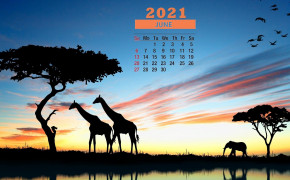 June 2021 Calendar Safari Silhouette Wallpaper 72274