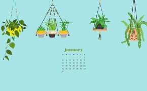 January 2021 Calendar Minimalist Wallpaper 72244