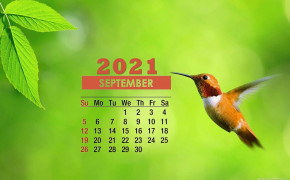 September 2021 Calendar Hummingbird Wallpaper 72334