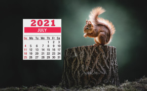 July 2021 Calendar Animal Wallpaper 72252