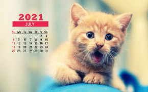 July 2021 Calendar Cute Cat Wallpaper 72254