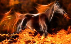 Fire Horse Background HD Wallpapers 82878