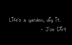 Inspiration Life Is A Garden Quotes Wallpaper 00813
