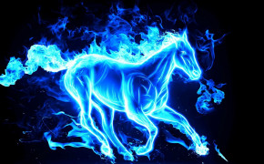 Blue Fire Horse HD Wallpapers 82818