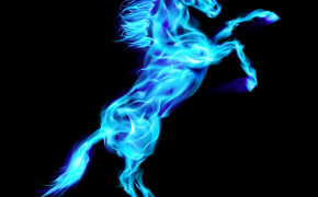 Blue Fire Horse Widescreen Wallpapers 82821