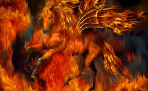Fire Horse Best HD Wallpaper 82881
