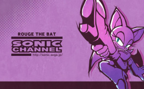 Sonic X Rouge The Bat HD Wallpaper 83564