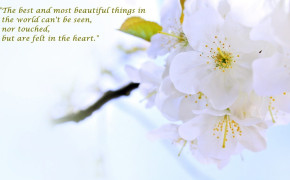 Most Beautiful Things Quotes Wallpaper 00841
