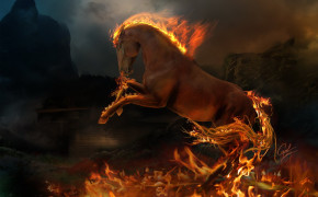 Fire Horse Widescreen Wallpapers 82892