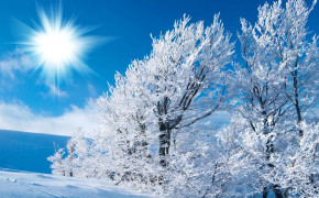 Winter Season Desktop HD Wallpaper 82973
