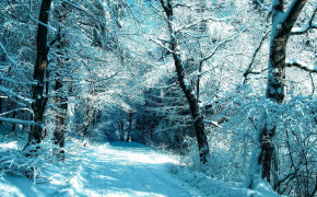 Winter Season HD Wallpaper 82978