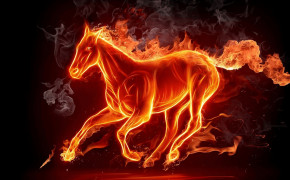 Fire Horse HD Wallpapers 82888
