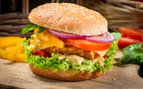 Fried Hamburger HD Desktop Wallpaper 84177