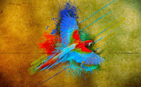 Cute Colorful Bird Background Wallpapers 84020