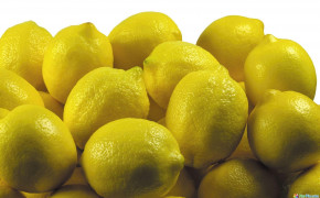 Summer Lemon Best HD Wallpaper 84822