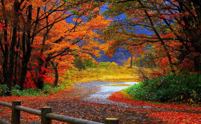 Nature Colorful Desktop Wallpaper 84526