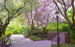 New York Central Park HD Wallpaper 84574