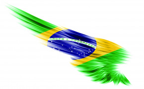Brazil Flag 08287