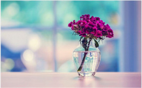 Flower Vase Desktop Wallpaper 84162