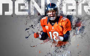 Denver Broncos NFL Widescreen Wallpapers 85598