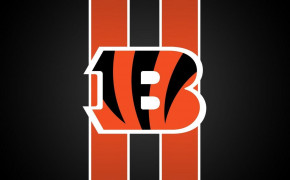 Cincinnati Bengals American Football Widescreen Wallpapers 85557