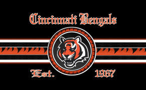Cincinnati Bengals NFL HD Wallpapers 85545