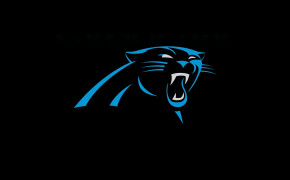 Carolina Panthers NFL Background Wallpapers 85498