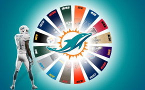 Miami Dolphins NFL Best Wallpaper 85772