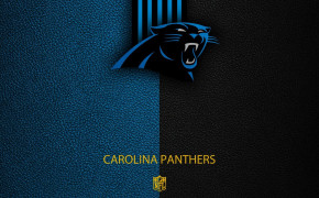 Carolina Panthers NFL Widescreen Wallpaper 85513