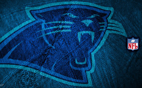 Carolina Panthers NFL High Definition Wallpaper 85508