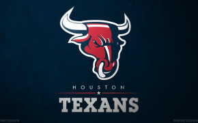 Houston Texans NFL Best Wallpaper 85641