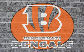 Cincinnati Bengals American Football High Definition Wallpaper 85555