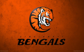Cincinnati Bengals NFL Widescreen Wallpapers 85550