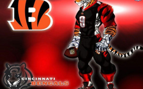 Cincinnati Bengals NFL Wallpapers Full HD 85549