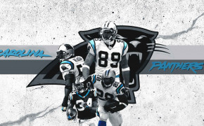Carolina Panthers NFL HQ Background Wallpaper 85509