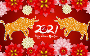Chinese New Year 2021 Wallpaper HD 84909