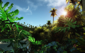 Tropical Jungle Desktop Wallpaper 08533