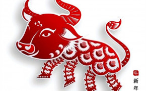 Chinese New Year 2021 HD Wallpapers 84907
